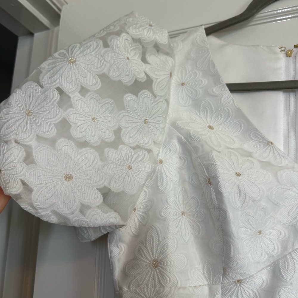 Lilly Pulitzer Citra Organza Dress - Picture 5 of 12